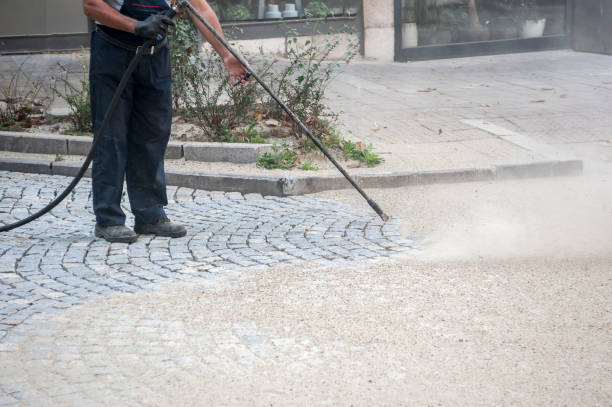 Best Roof Washing  in Schriever, LA