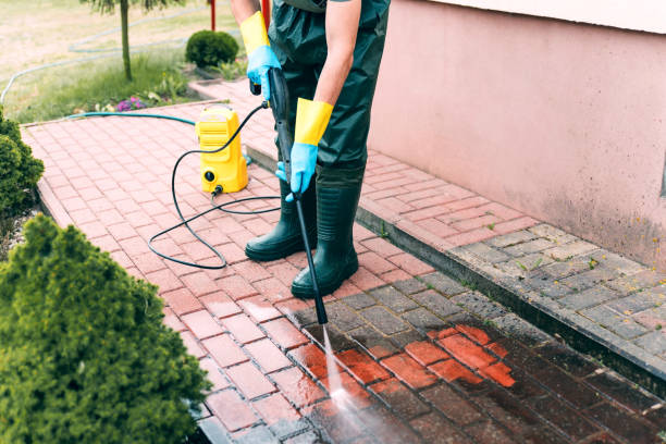 Animal Enclosure Cleaning in Schriever, LA